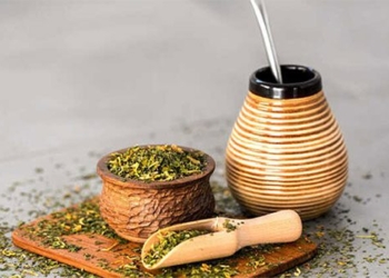what is yerba mate 124795