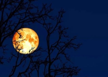 why february is called the worm moon 126179