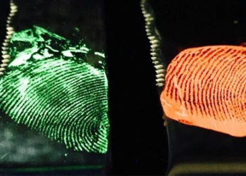 why human fingerprints are different 126018