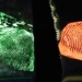 why human fingerprints are different 126018