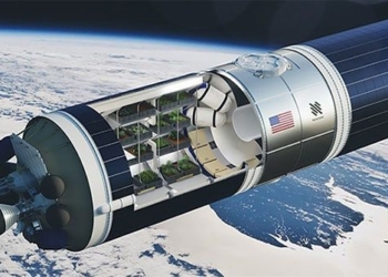 why outer space trees are being noticed 124943