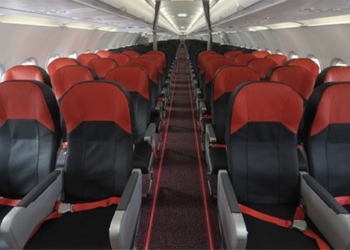 why some dogs never exist on airplanes 126594