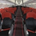 why some dogs never exist on airplanes 126594