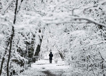 winter rain photos around germany celebrating christmas in northern china enters the biggest tourist season of the year 124855