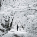 winter rain photos around germany celebrating christmas in northern china enters the biggest tourist season of the year 124855