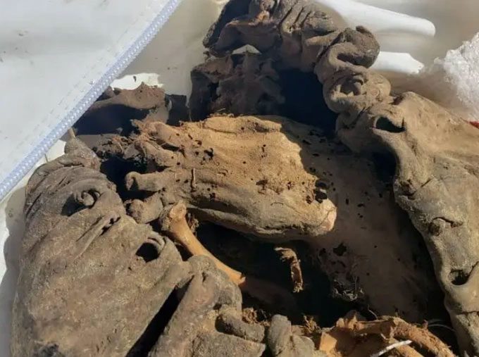 The feet of the mummy.