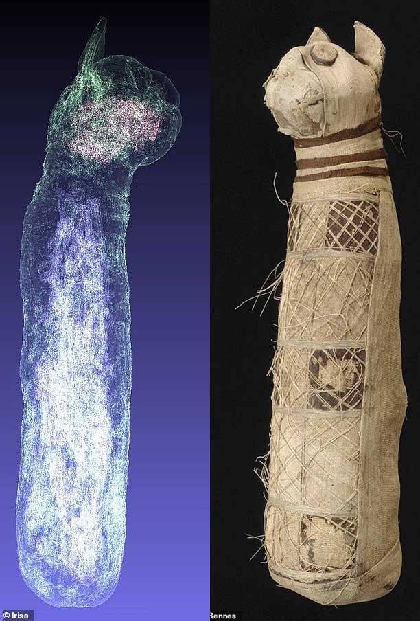 Cat Mummy