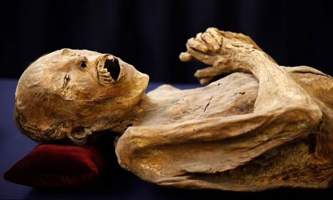 A mummy displayed at the Museo de las Momias.