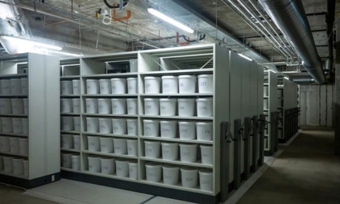 Buckets containing brain specimens from the collection.