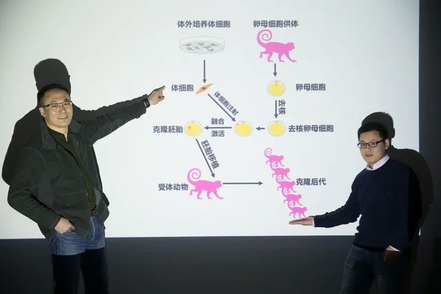 zhen liu