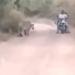 2 young men caught in the act in the middle of the road and the dramatic conclusion 118182