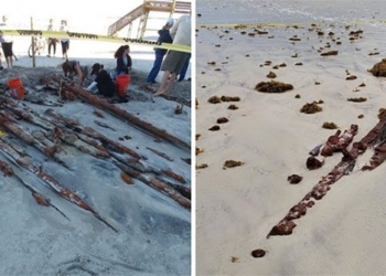200 year old shipwreck discovered off florida beach