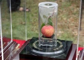 4 most expensive fruits in the world one type costs as much as a mercedes 100418