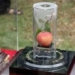 4 most expensive fruits in the world one type costs as much as a mercedes 100418