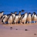 5 200 smallest birds in the world swaying on the beach during the record breaking journey 120565