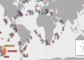 5 500 unknown viral stores of sars cov 2 surfacing across the ocean 119874