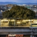 700 year old tree in japan suffers from disease 79670