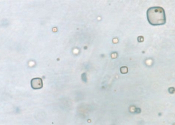 830 million year old fossils reveal life on mars 120441