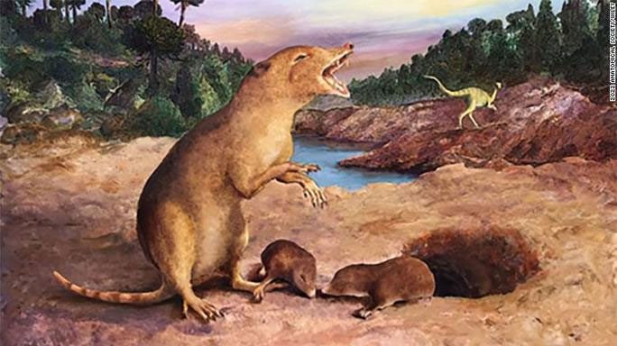 Portrait of the oldest mammal ever discovered