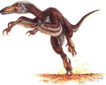 Graphic depiction of a dromaeosaurid dinosaur