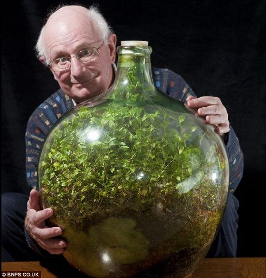 Former electrical engineer David Latimer has only watered the plants twice since 1960.