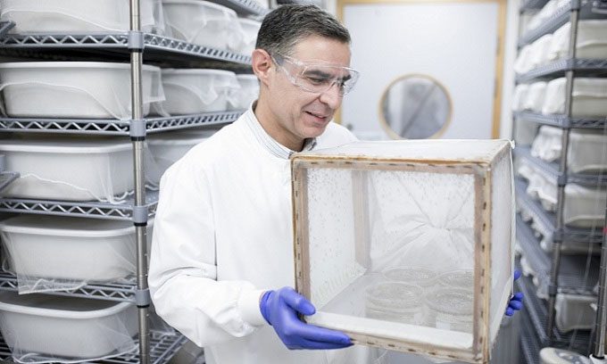 Professor George Christophides carrying a box of mosquitoes.