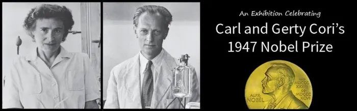 In 1947, the Coris received the Nobel Prize in Medicine.