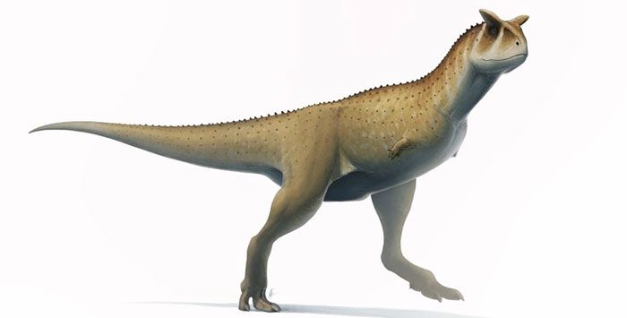 Guemesia ochoai dinosaur.