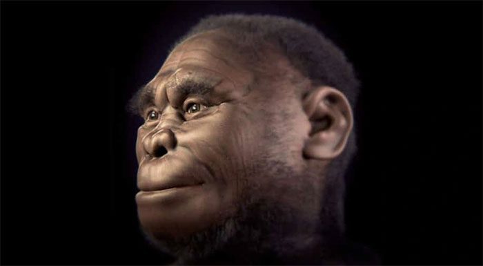 Homo floresiensis, also known as Men of Flores