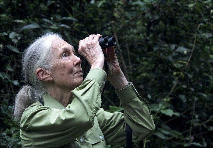 Jane Goodall