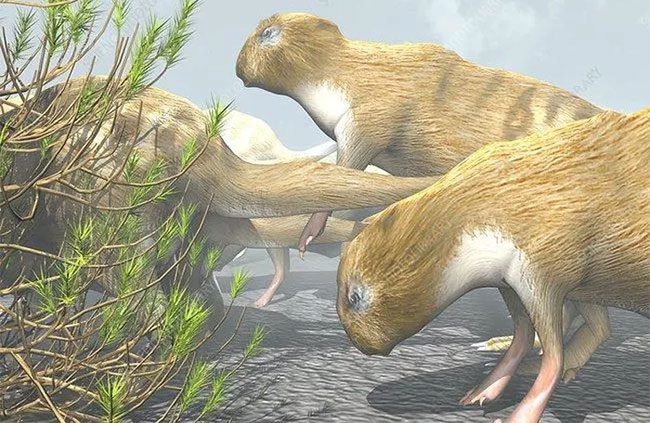 These giant rodents lived in the wetlands of South America.