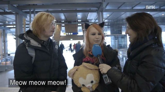 Nano is not alone; a guy named Svein also thinks he is a cat.