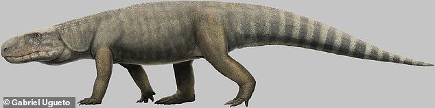 "Portrait" of the crocodile-like archosaur recently identified