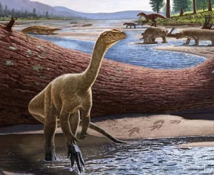 Mbiresaurus raathi