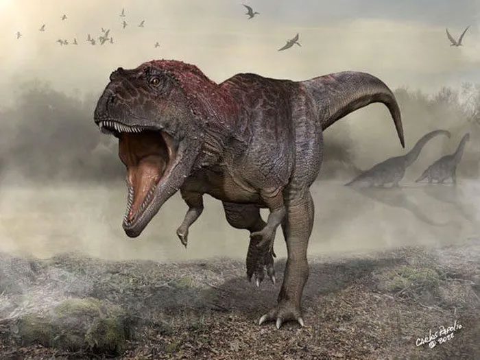 Dinosaur Meraxes gigas