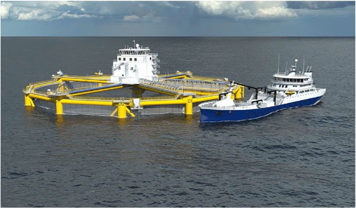 Ocean Farming 1 Fish Farm.