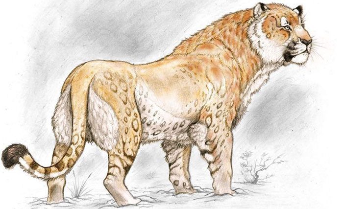 "Portrait" of the monster lion Panthera atrox