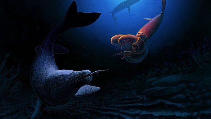 New species of mosasaur