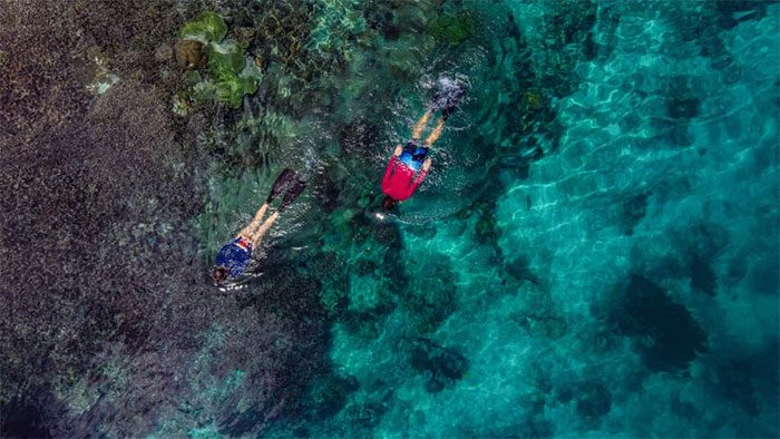 Visitors diving in Raja Ampat.