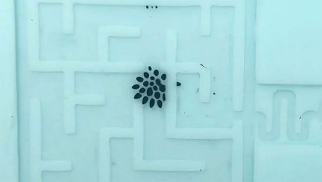 Ferrofluidic robot self-dividing into smaller versions of itself.