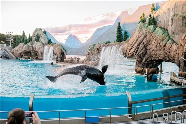 Marine life in the park thrives as if in their natural environment.