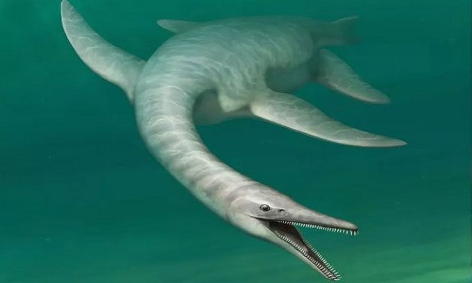 Reconstruction of Serpentisuchops pfisterae.