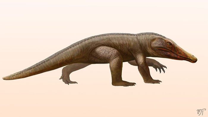 Appearance of the creature through the reconstruction images by the research team