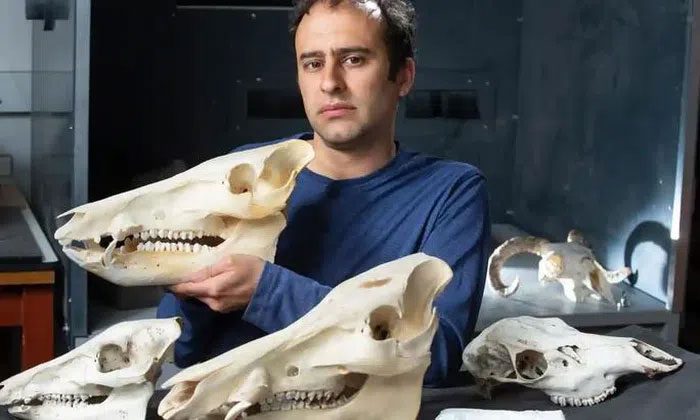 Professor Steve Brusatte