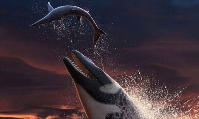 Reconstruction of Thalassotitan atrox.