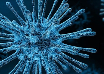a different virus is ready to spread to humans 123318