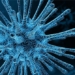 a different virus is ready to spread to humans 123318