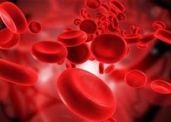 a drop of blood contains what components 124074