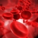 a drop of blood contains what components 124074