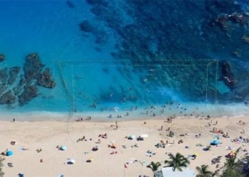 a island beautiful like paradise but tourists are overwhelmed by crocodiles attack 121608
